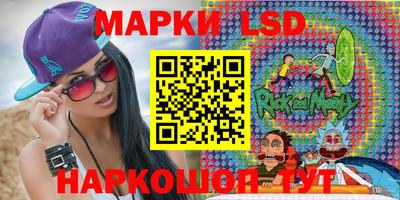 гашик Можга