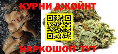 гашик Можга