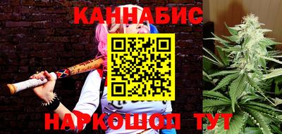 гашик Можга