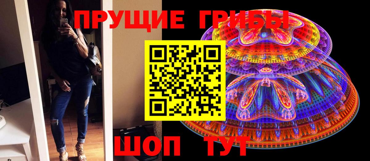 Шадринск  Галлюциногенные грибы Psilocybe  Вход с VPN  Галлюциногенные грибы Psilocybine cubensis 
